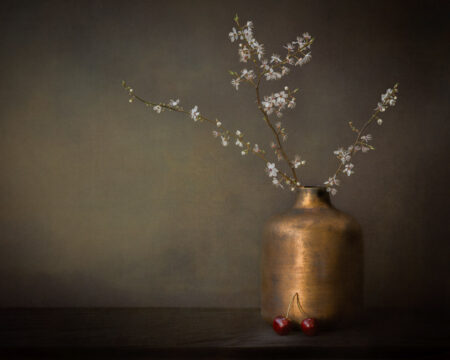 Transience – Blossom & Cherries by Sue Oakford